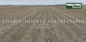  Establecimiento Agropecuario