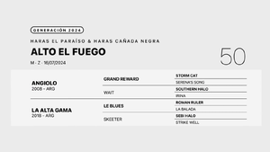  ALTO EL FUEGO