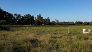  200 AL CTE MEDIO USO