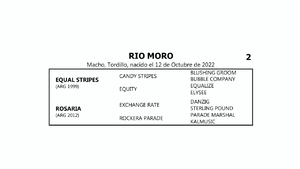  RIO MORO (EQUAL STRIPES -  ROSARIA por  EXCHANGE RATE)