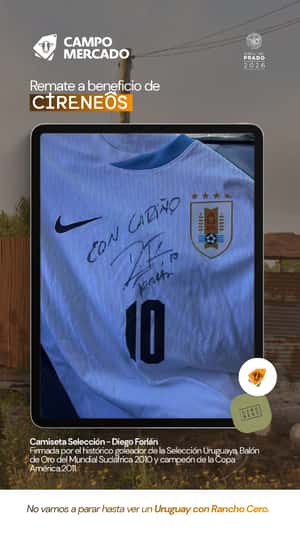 Lote Camiseta Selección - Diego Forlán