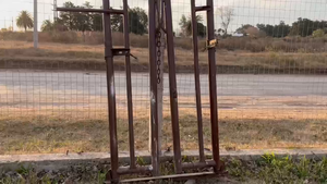 Lote cepo de maroma