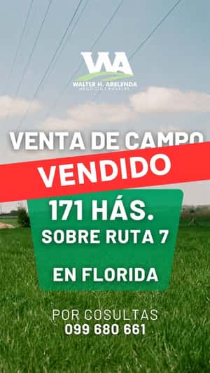 (VENDIDO)