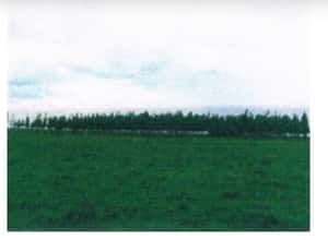 Campo en venta – Paysandú
