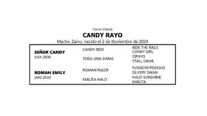  CANDY RAYO