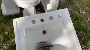 Lote Juego de baño