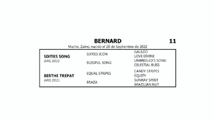  BERNARD (SIXTIES SONG - BERTHE TREPAT por  EQUAL STRIPES)