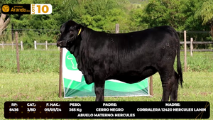  LOTE 10