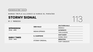  STORMY SIGNAL