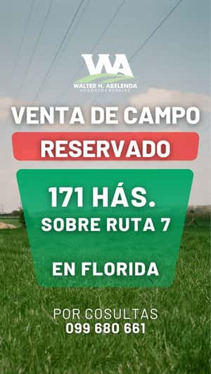 VENTA EN EXCLUSIVIDAD