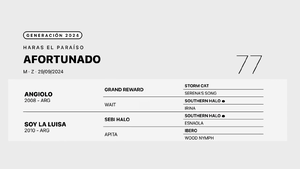  AFORTUNADO