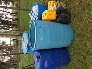Lote LOTE TARRINAS Y BIDONES