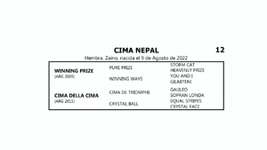  CIMA NEPAL (WINNING PRIZE -  CIMA DELLA CIMA por CIMA DE TRIOMPHE)