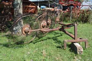 Lote Rastrillo de 4 soles