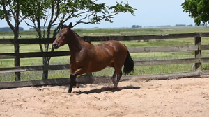  CAÑADA  O  de  CASA