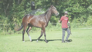  MORENA BACCARIN (CITYSCAPE .-  EXCELLENT CATCH)