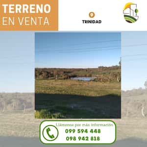 Terreno