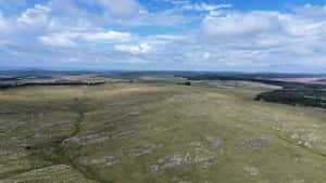  140 Has A 50 Km De Minas, Campo Ganadero - Forestal