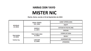  MISTER NIC