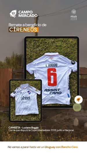Lote Camiseta Luciano Boggio