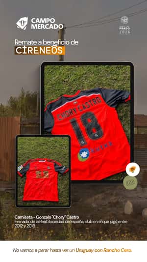 Lote "Camiseta Gonzalo ""Chory"" Castro"