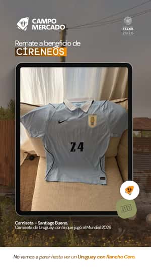 Lote Camiseta Santiago Bueno