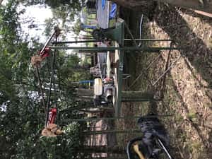 Lote ESQUILADORA 2 TIJERAS