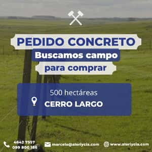  PEDIDO CONCRETO