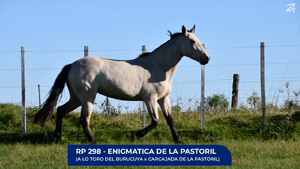  Enigmatica de La Pastoril