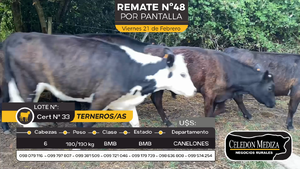  6 Terneros y Terneras en Otra Localidad, Canelones