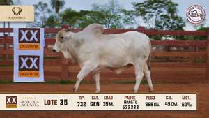 Lote 35 — Sola Marca SA