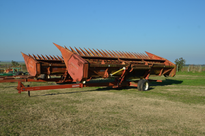 Lote Girasolero Mainero 1035