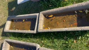 Lote 2 PILETAS DE HORMIGÓN