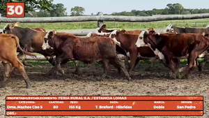  LOTE 30