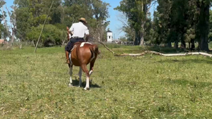  1 Montados en Corrientes, Curuzú-Cuatiá