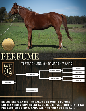  PERFUME