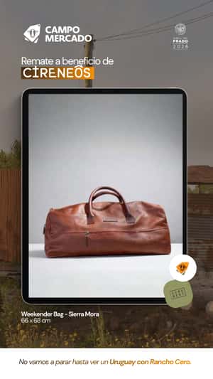 Lote Weekender Bag Sierra Mora