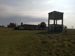  Campo de 298 Has