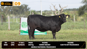  LOTE 9
