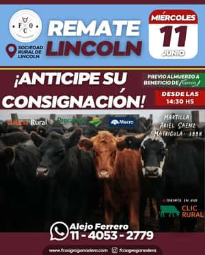 11 DE JUNIO - Lincoln