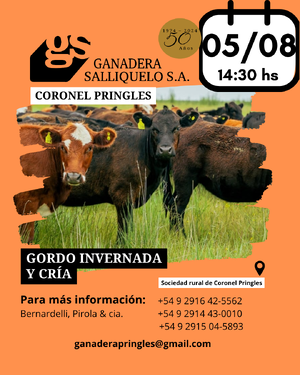 REMATE EN CORONEL PRINGLES
