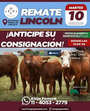 10 de Febrero - Lincoln