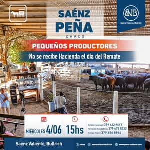 Feria en P. R. Saenz Peña
