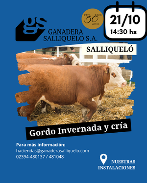 REMATE FERIA EN SALLIQUELÓ