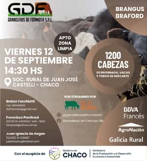 12 DE SEPTIEMBRE - Chaco