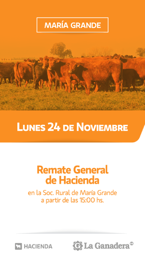REMATE FERIA EN SOCIEDAD RURAL MARIA GRANDE