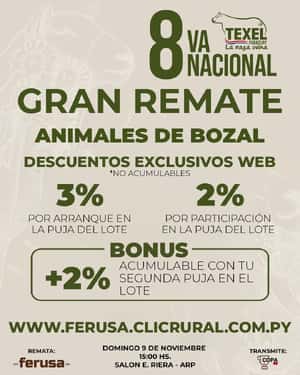 8VA  NACIONAL TEXEL - BOZAL