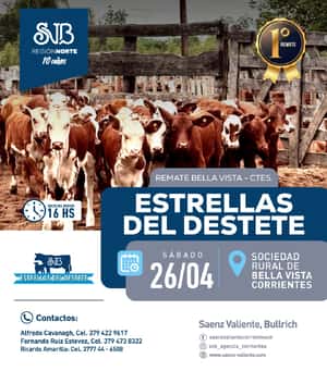 LEDD Bella Vista