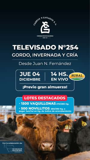 254° ESPECIAL INVERNADA POR PANTALLA DESDE JUAN N FERNANDEZ