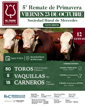 5° Remate de primavera 